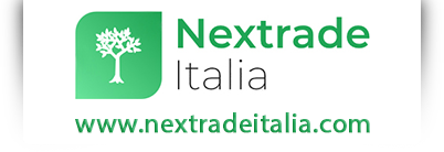 nextradeitalia 4PZ LISTONE X Pavimento in Pino IMPREGNATO MM.28X120X2000
