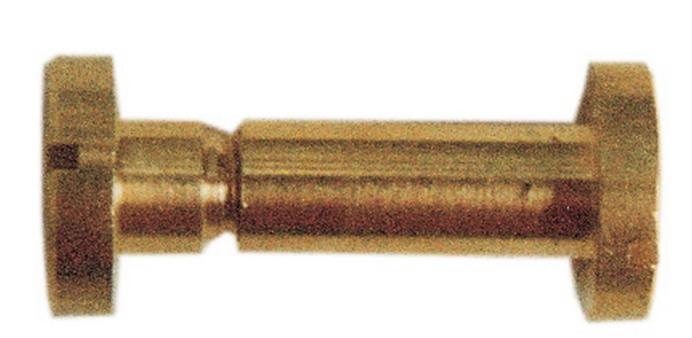 100pz viti a cannocchiale 6x30 cod:ferx.4070