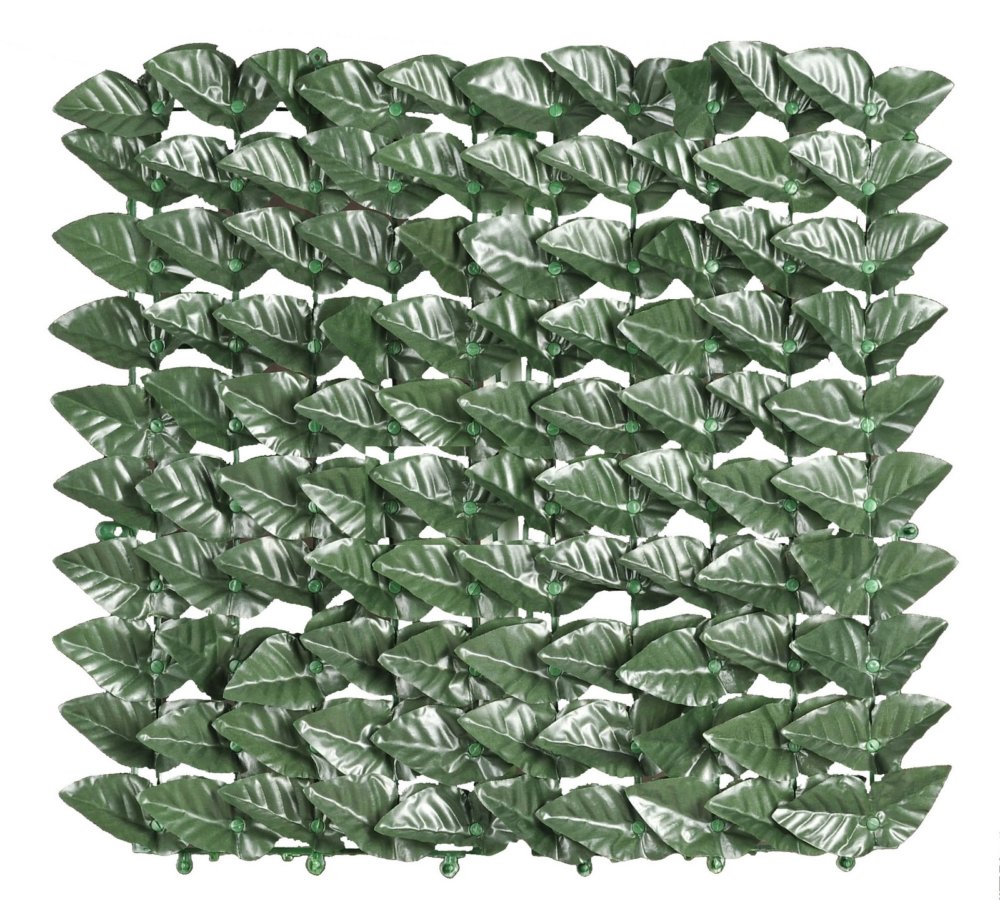 arelle sempreverdi lauro botton mt 1,5x3 cod:ferx.91957