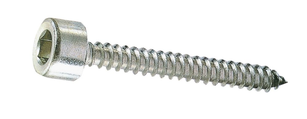 500pz viti autofilettanti testa cilindrica esagono incassato 4,8x32 export cod:ferx.9890