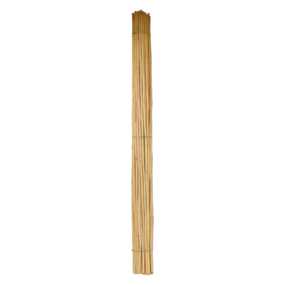25pz canna bamboo ø24/26 mm. circa - h. mt 2,1 cod:ferx.6085018nlm