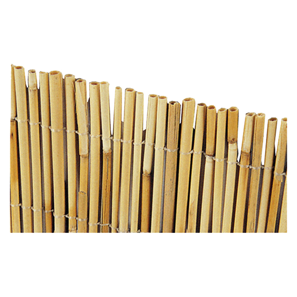 2pz arella 'bamboo' cm 300 x 500 cod:ferx.613824nlm