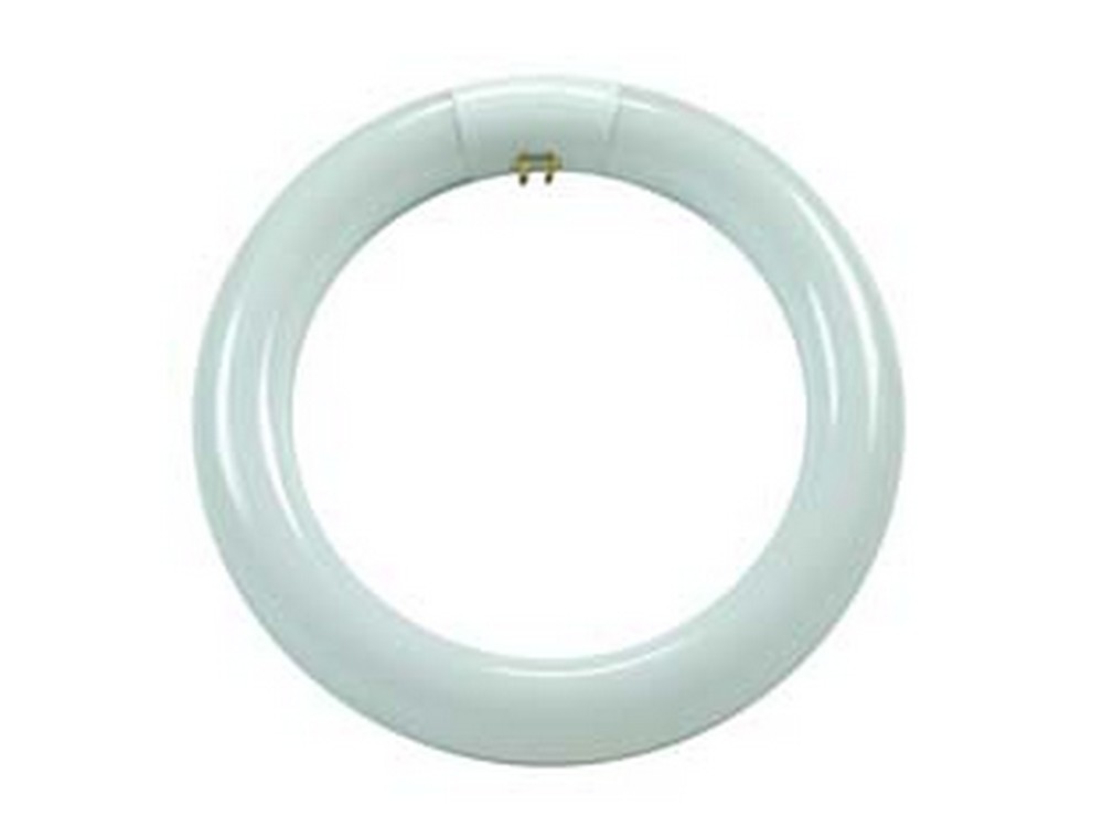 6pz circoline trifosforo fluorescenti t9 g10q - 32w - 6500?k fredda - 2000 lm - 305x30 cod:ferx.fer339698