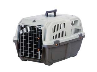 trasportini per gatti o cani di taglia piccola - cm.48x31,5x31h. cod:ferx.fer112697