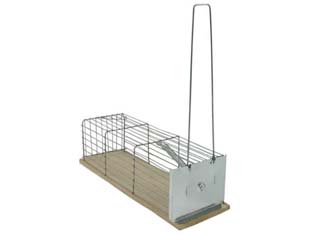 3pz normali a galleria per topi base in acciaio inox - cm.24x9x9h cod:ferx.fer153461
