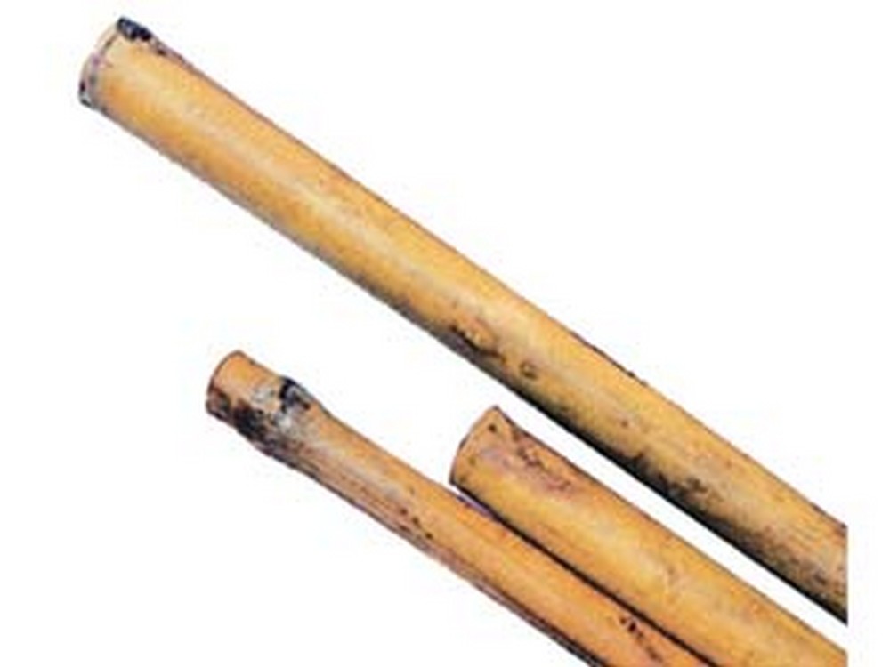 50pz canna bamboo - mm.24/26 h.240 cod:ferx.fer268776