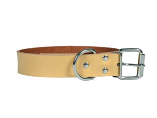 5pz collare per cani in cuoio - cm.56x3 cod:ferx.fer255691