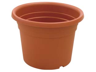 12pz vaso cilindro dahlia - ? cm.35x25h. cod:ferx.fer289207