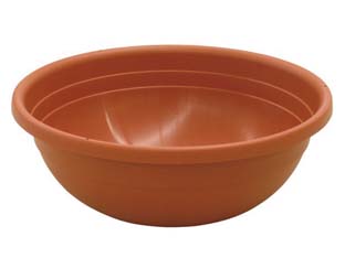 6pz vaso ciotola clivia - ? cm.40x14h. cod:ferx.fer289290