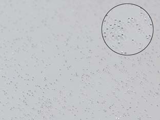 30mt tovagliato pvc glitterato argento - cm.140h, rotolo da mt.30 cod:ferx.fer449649