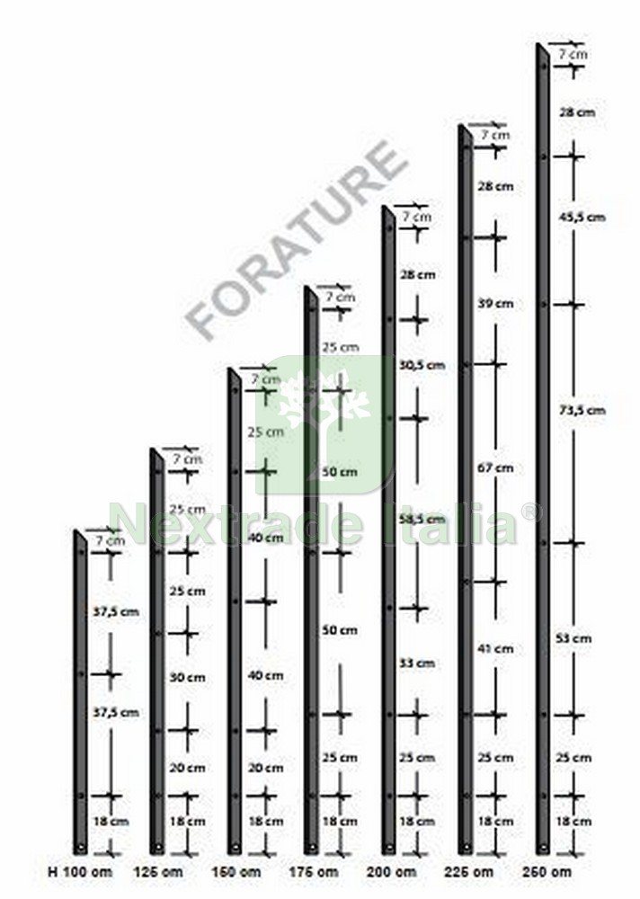 paletto per recinzione in ferro sezione T mm 30x30x3 NEXTRADEITALIA Confezione da 1PZ Palo a T altezza 225 CM per recinzione ZINCATO paletto per recinzione in ferro sezione T mm 30x30x3 NEXTRADEITALIA Confezione da 1PZ Palo a T altezza 225 CM per recinzione ZINCATO