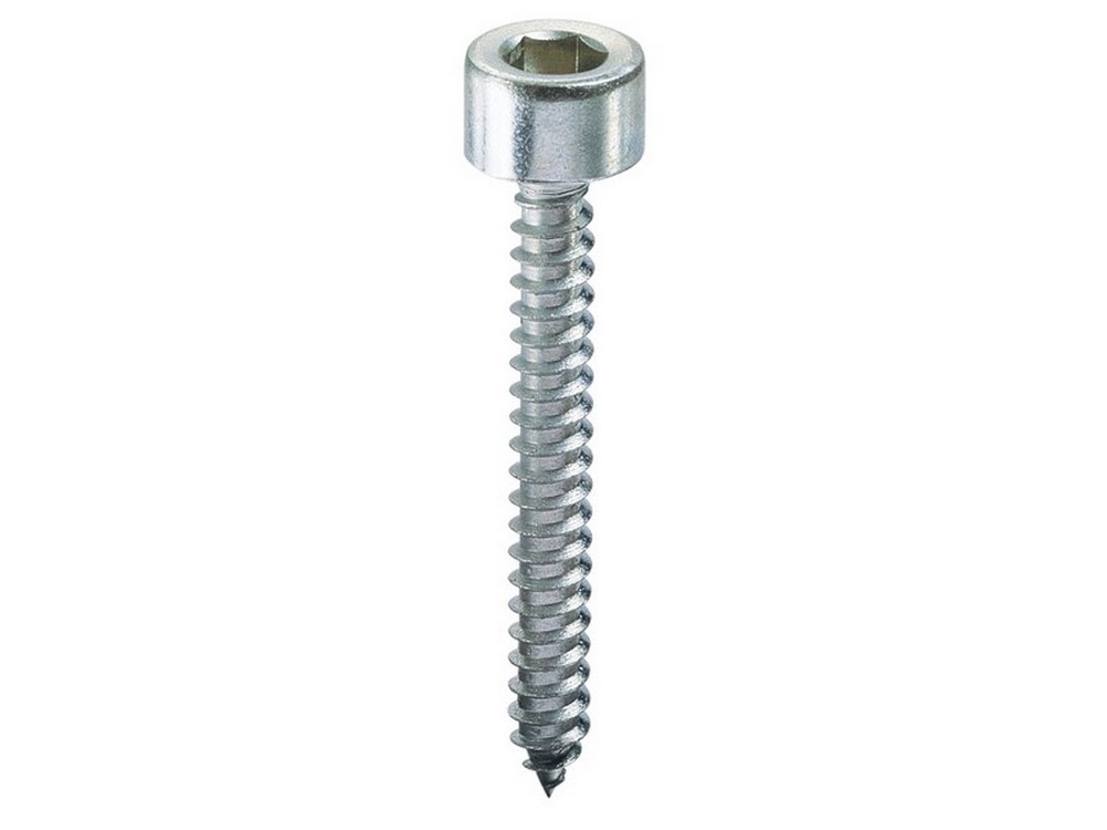 500pz vite autofilettante tc con esagono incassato mm. 5,5x32 cod:ferx.vit42862