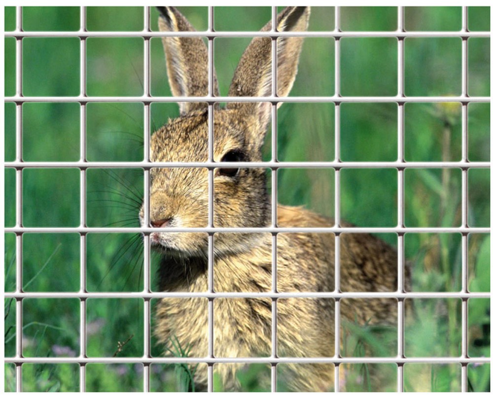 1 pz rete per recinzioni elet/zinc maglia mm. 6x6 ï filo mm.0,60-h cm.100 cod:ferx.vit28870